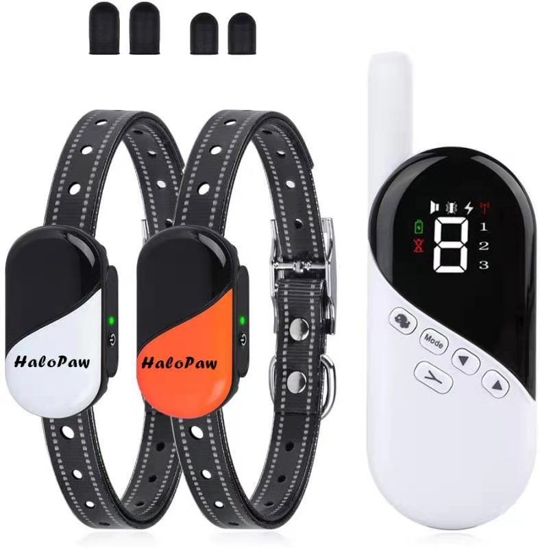 tiny dog training collar